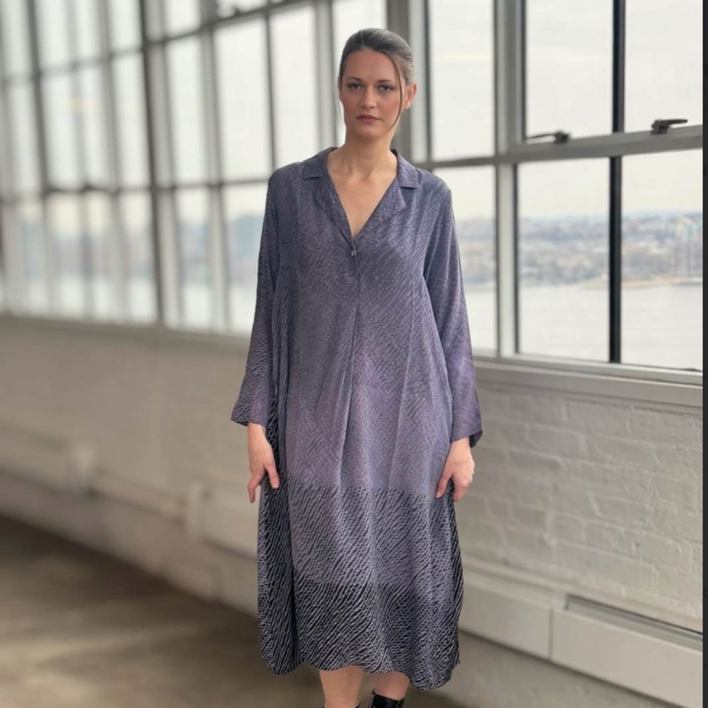 Raag Long Sleeve Ombre Dress